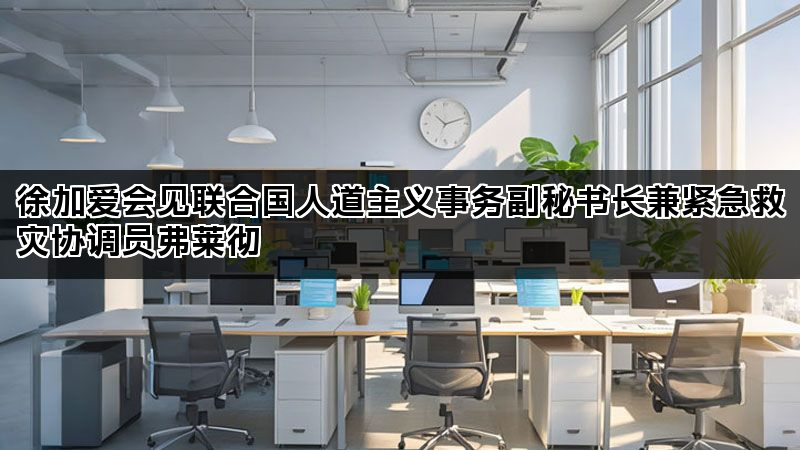 徐加爱会见联合国人道主义事务副秘书长兼紧急救灾协调员弗莱彻 徐加爱会见联合国人道主义事务副秘书长兼紧急救灾协调员弗莱彻